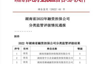 財鑫擔保榮獲2022年湖南金融監(jiān)管評級A級