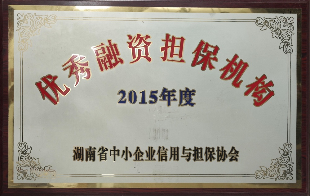 2015年度優(yōu)秀融資擔(dān)保機(jī)構(gòu)