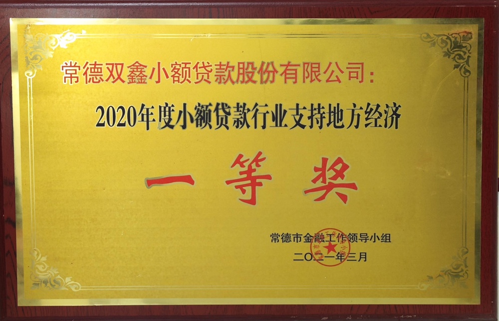 常德雙鑫小額貸款股份有限公司：2020年度融資擔(dān)保行業(yè)支持地方經(jīng)濟(jì)一等獎