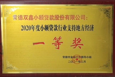 2020年度融資擔(dān)保行業(yè)支持地方經(jīng)濟(jì)一等獎—常德雙鑫小額貸款股份有限公司