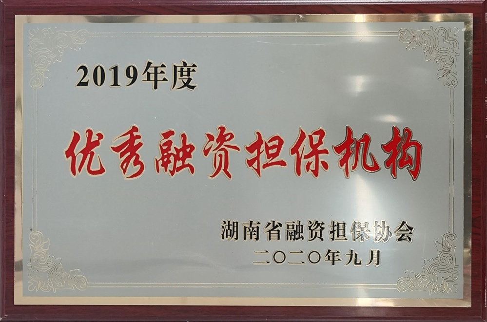 2019年度優(yōu)秀融資擔(dān)保機構(gòu)