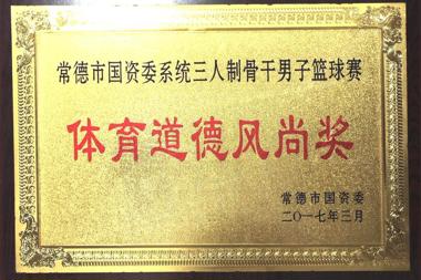 2017年常德市國(guó)資委三人制骨干男子籃球賽體育道德風(fēng)尚獎(jiǎng)