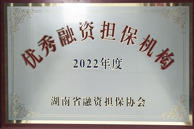 2022年度優(yōu)秀融資擔保機構