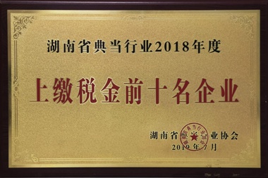 湖南省典當行業(yè)2018年度上繳稅金前十名企業(yè)