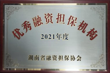 2021年度優(yōu)秀融資擔保機構(gòu)